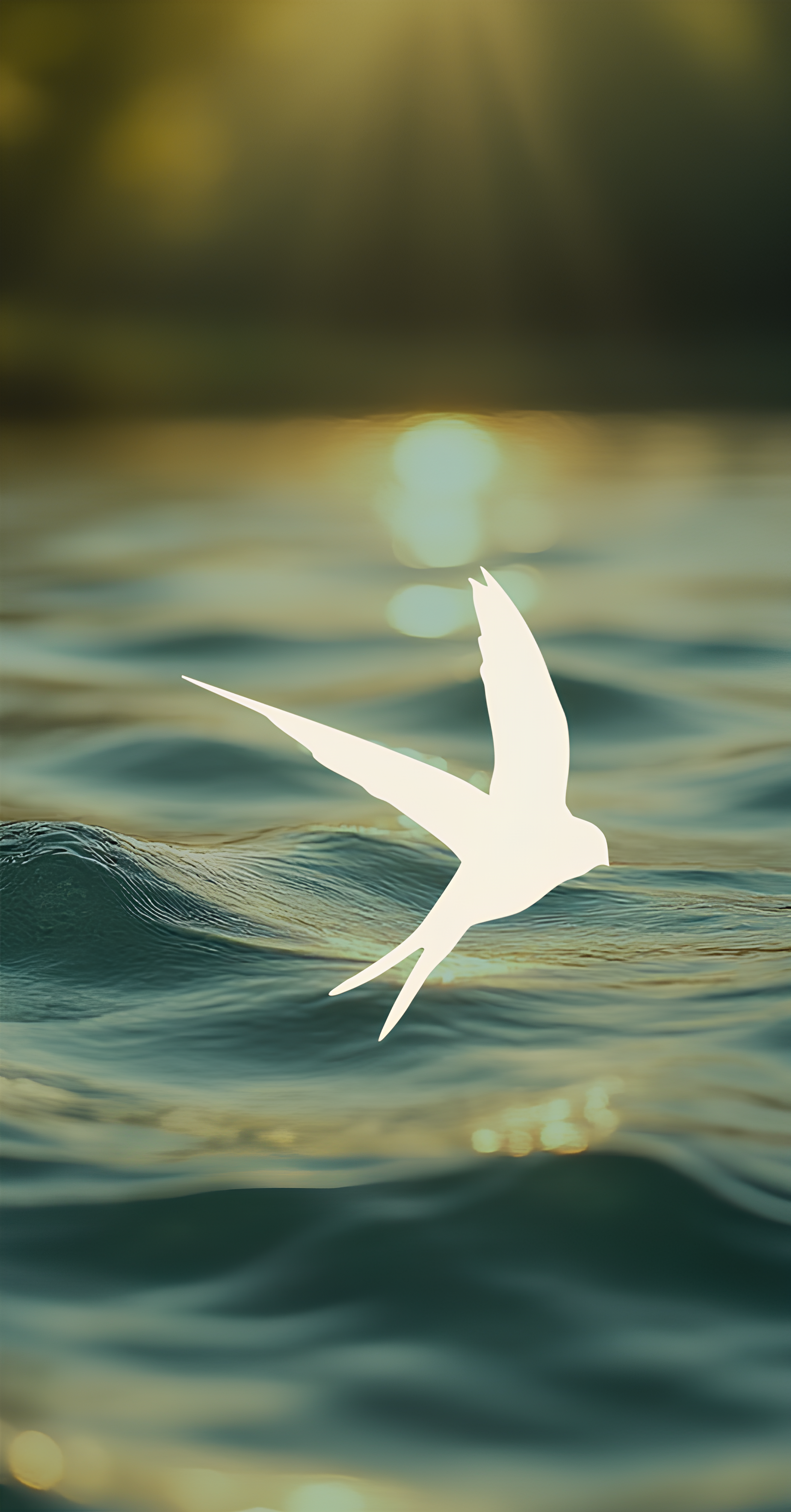 In rhythm with nature